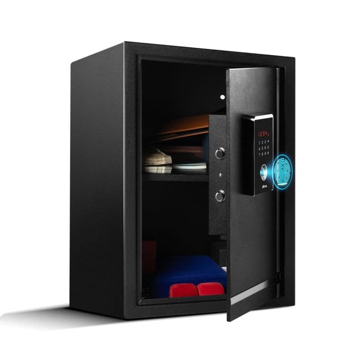 Biometric Safe